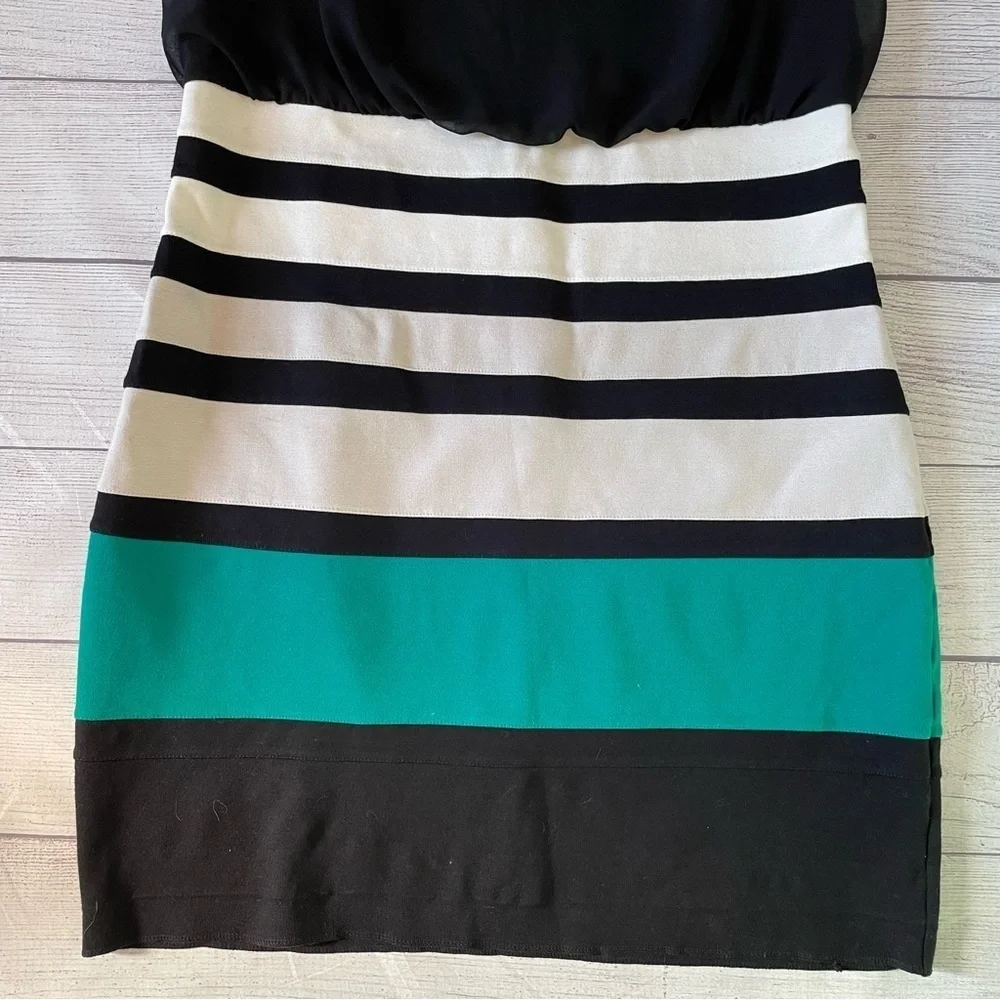 Express Dress - Picture 7 of 7
